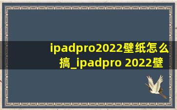 ipadpro2022壁纸怎么搞_ipadpro 2022壁纸怎么设置